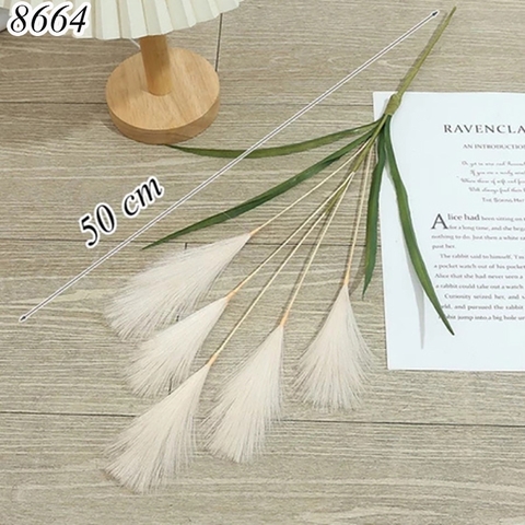 Cành cỏ lau Xám TQ