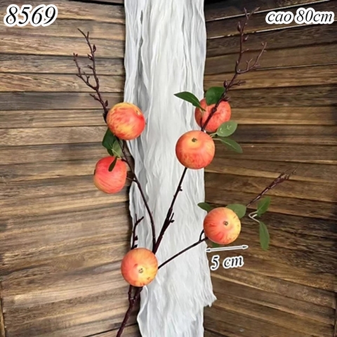 Cành 6 quả táo TQ