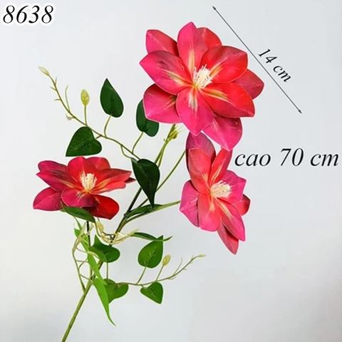Cành hoa ông lão Đỏ TQ