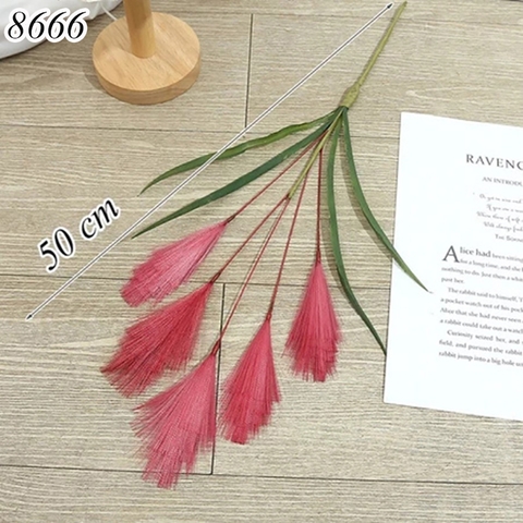Cành cỏ lau Hồng Đỏ