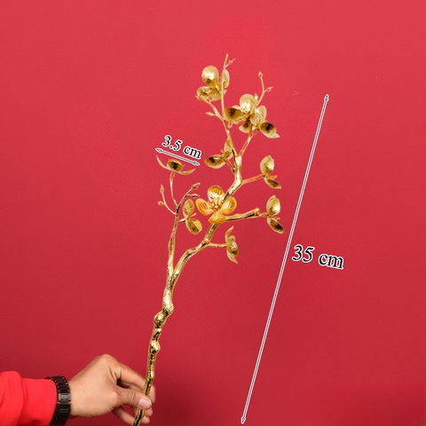 Cành mai vàng đồng