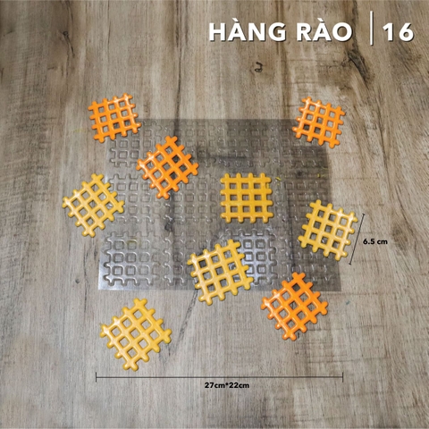 Khuôn định hình trong hàng rào R16