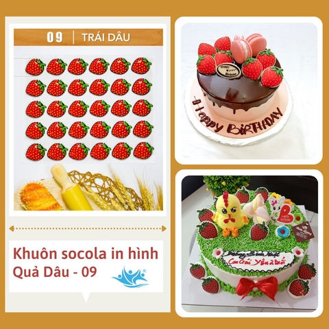 Khuôn socola Trái dâu hộp nhỏ