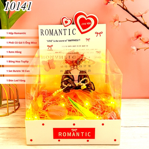 Combo Hộp Romantic Trắng + Phôi Cô Gái 10 Ống Tiền + Thành Phần