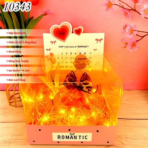 Combo Hộp Romantic HỒNG + Phôi Cô Gái 10 Ống Tiền + Thành Phần