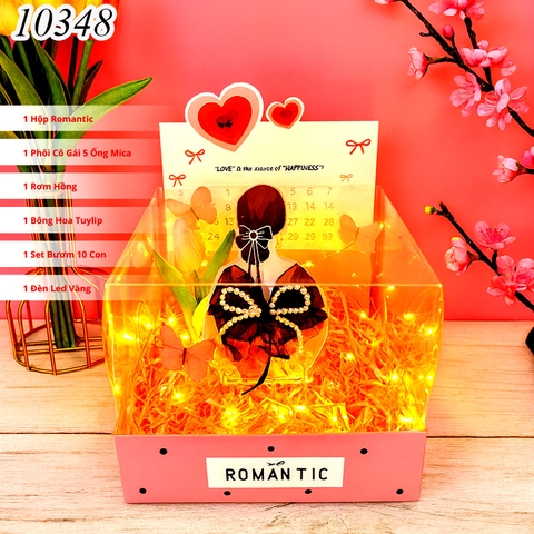 Combo Hộp Romantic HỒNG + Phôi Cô Gái 5 Ống Tiền + Thành Phần