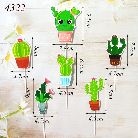 SCG-set cắm xương rồng mẫu mới