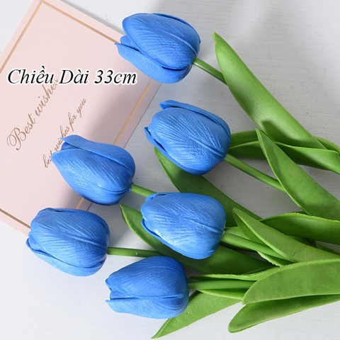 Hoa tuylip màu xanh da trời