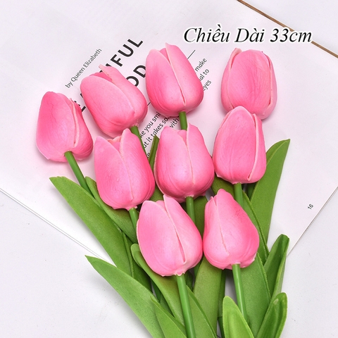 Hoa tuylip hồng đậm