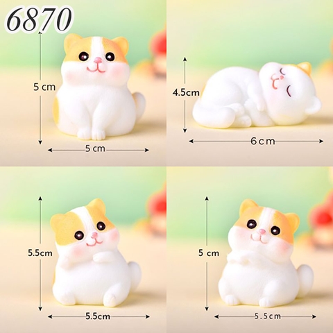 Bộ 4 mèo béo kute