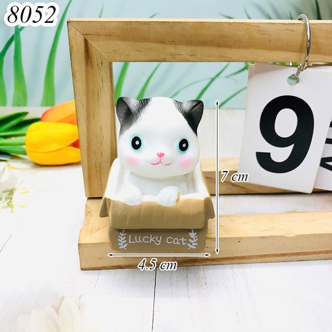 CV-mèo LUCKY mở mắt.