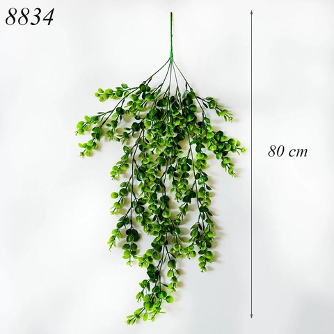 Cành bạch đàn xanh lá TQ
