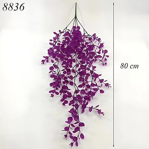 Cành bạch đàn tím TQ