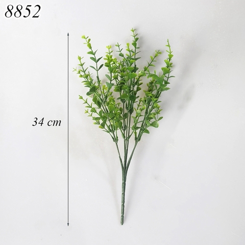 Cành bạch đàn xanh lá M2 TQ