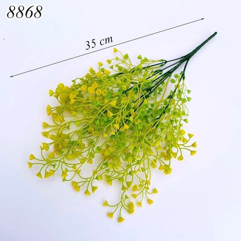 Cành rong biển vàng TQ