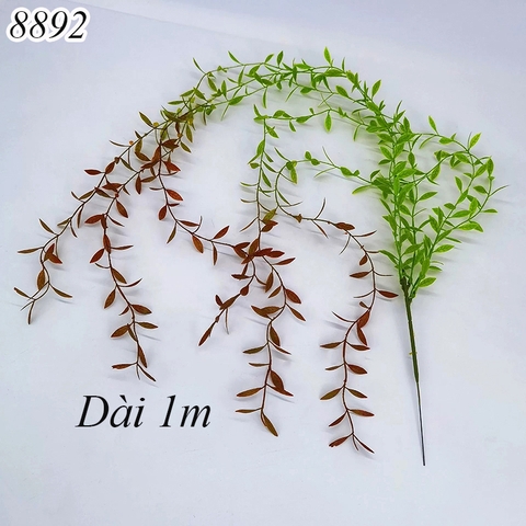 Cành liễu xanh đuôi đỏ TQ