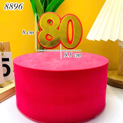 SCG-Set que cắm thọ 80 HD( 1 set 1 que)