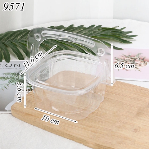 Hộp nhựa trong suốt có quai xách W091 TQ