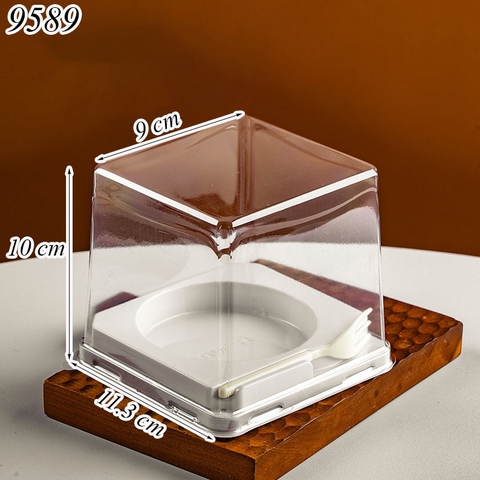 Hộp nhựa nắp vuông trong suốt + thìa W159 TQ