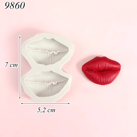 Khuôn Silicon Đôi Môi 3D 2 Mẫu TQ