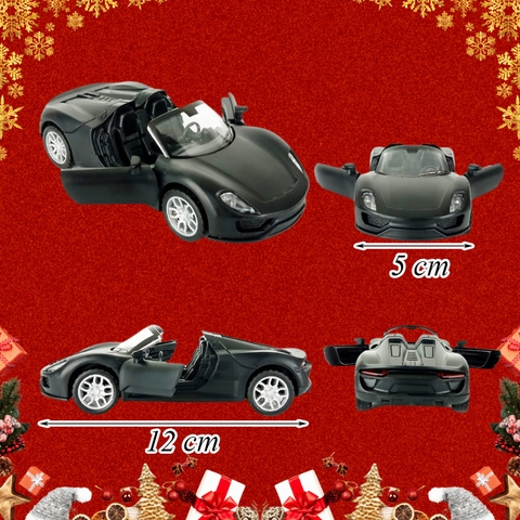 Xe - siêu xe pocher đen
