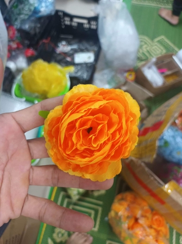 Hoa - hoa mẫu đơn cam