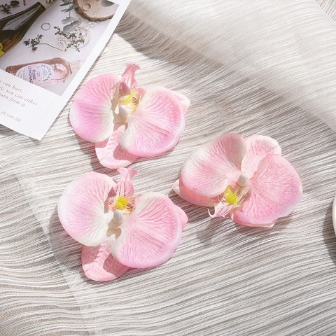 Hoa lan hồ điệp-Hồng nhạt