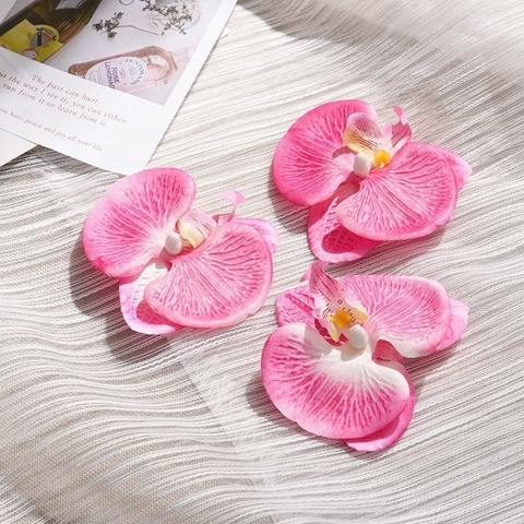 Hoa lan hồ điệp-Hồng đậm