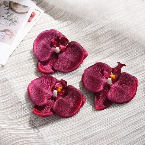 Hoa lan hồ điệp-Đỏ đô