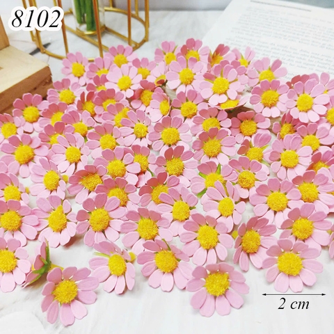 Gói 100 bông hoa cúc nhí Hồng