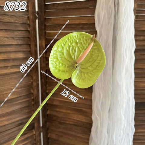 Cành hồng môn Xanh Nõn TQ