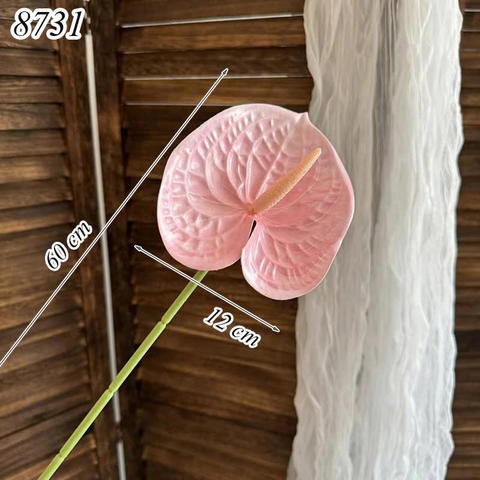 Cành hồng môn Hồng Nhạt TQ