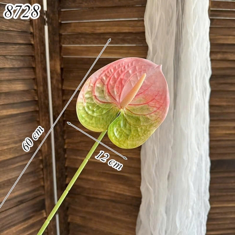 Cành hồng môn Xanh Hồng TQ