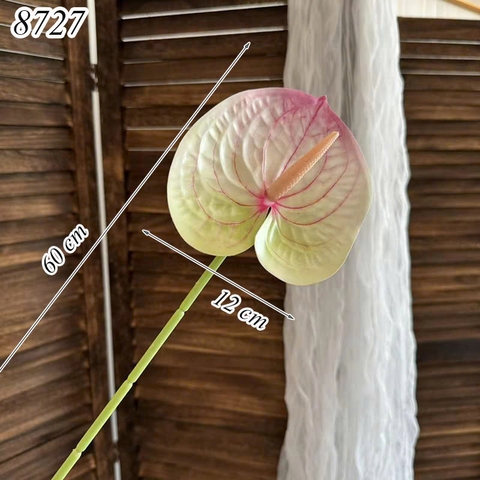 Cành hồng môn Trắng Xanh họa tiết Hồng TQ