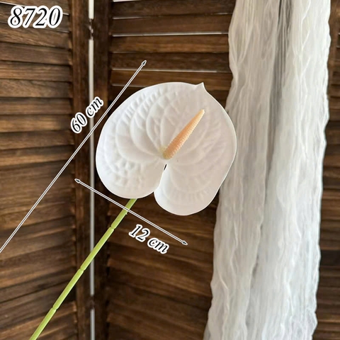 Cành hồng môn Trắng TQ