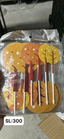 SCG-Set Cây Lá Tròn Cam Tuyết TP