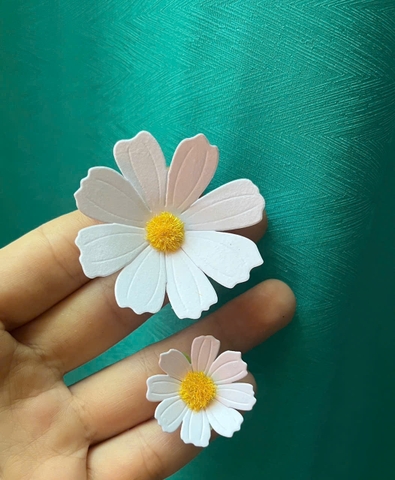 Gói 100 bông hoa cúc nhí mix size Trắng