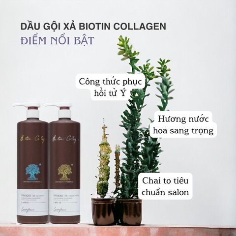 Dầu Gội Xả Pasiori Biotin Collagen Hair Repair phục hồi tóc hư tổn giảm rụng và kích thích mọc tóc 1000ml
