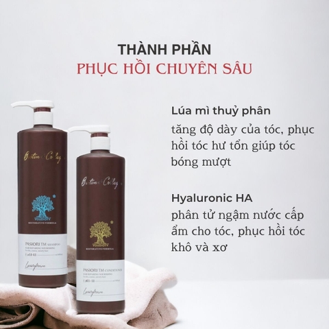 Dầu Gội Xả Pasiori Biotin Collagen Hair Repair phục hồi tóc hư tổn giảm rụng và kích thích mọc tóc 1000ml