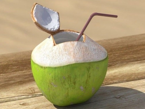 Dừa trái