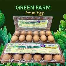 Trứng gà sạch Green Farm hộp 10 cái