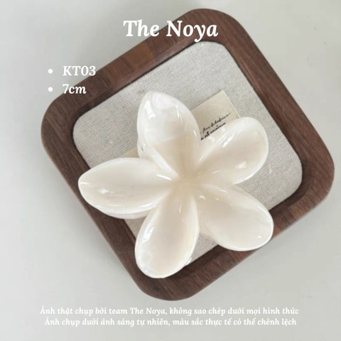 Kẹp tóc hoa sứ The Noya kiểu dáng màu hiện đại dễ thương, kẹp tóc nửa đầu KT02, KT03