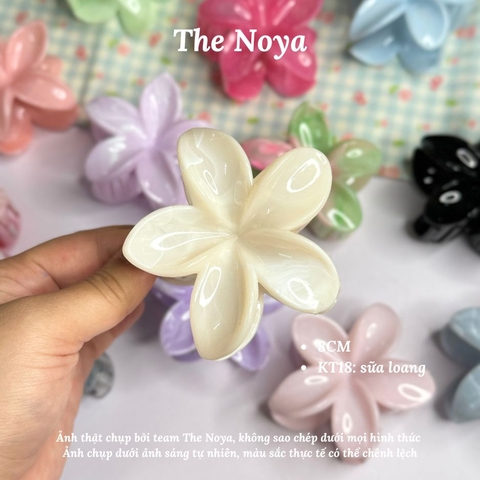 Kẹp tóc hoa sứ The Noya kiểu dáng màu hiện đại dễ thương, kẹp tóc nửa đầu KT02, KT03