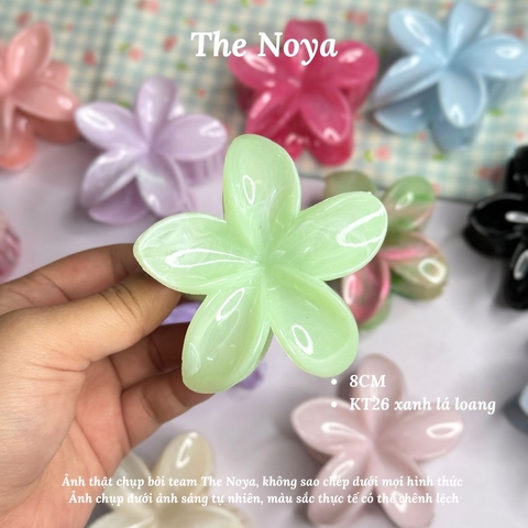Kẹp tóc hoa sứ The Noya kiểu dáng màu hiện đại dễ thương, kẹp tóc nửa đầu KT02, KT03