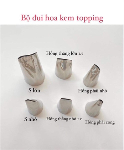Bộ 6 đui hoa cơ bản