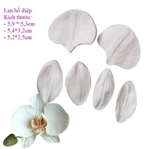 Khuôn silicon lan hồ điệp (6 món)