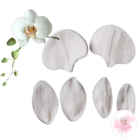 Khuôn Silicon Vân cánh hoa lan (6 món) - SK