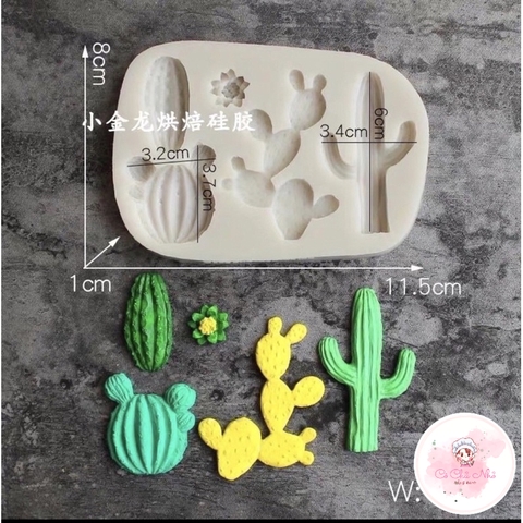 Khuôn Silicon xương rồng