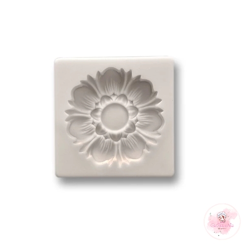 Khuôn Silicon hoa mới