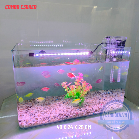 Điểm danh các mẫu bể cá mini để bàn làm việc đẹp nhất 2025